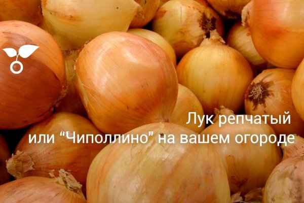 Кракен прямая ссылка onion top