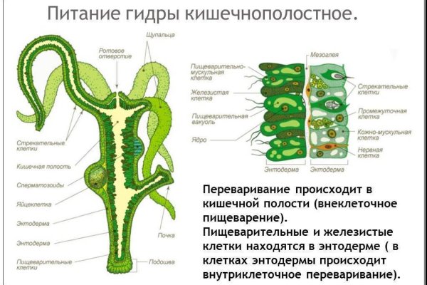 Магазин kraken даркнет