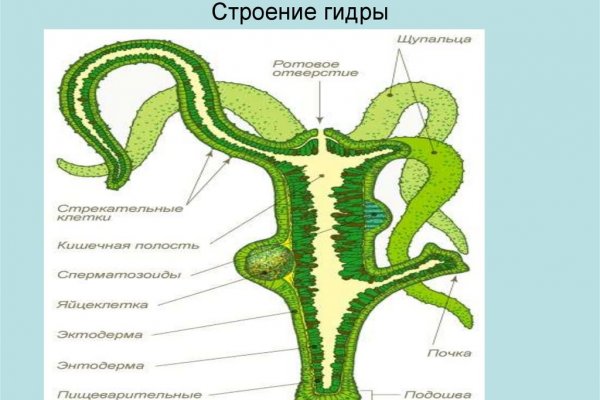 Сайт кракен не работает почему