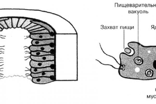 Кракен kr2connect co