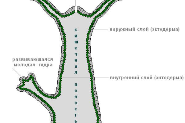 Доступ кракен