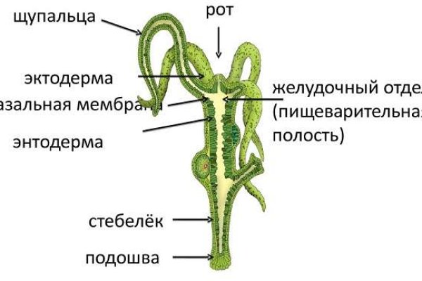 Kraken market ссылка тор