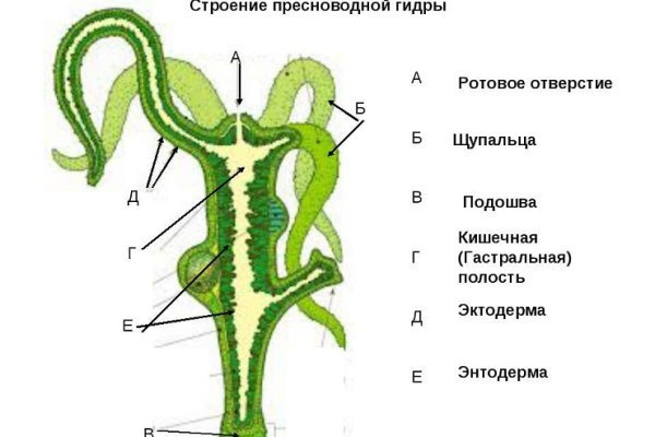 Kraken zerkalo официальный сайт